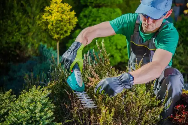 landscaping services Lowell